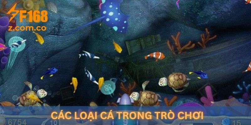 Các loại cá trong trò chơi "Bắn cá đổi thưởng F168"